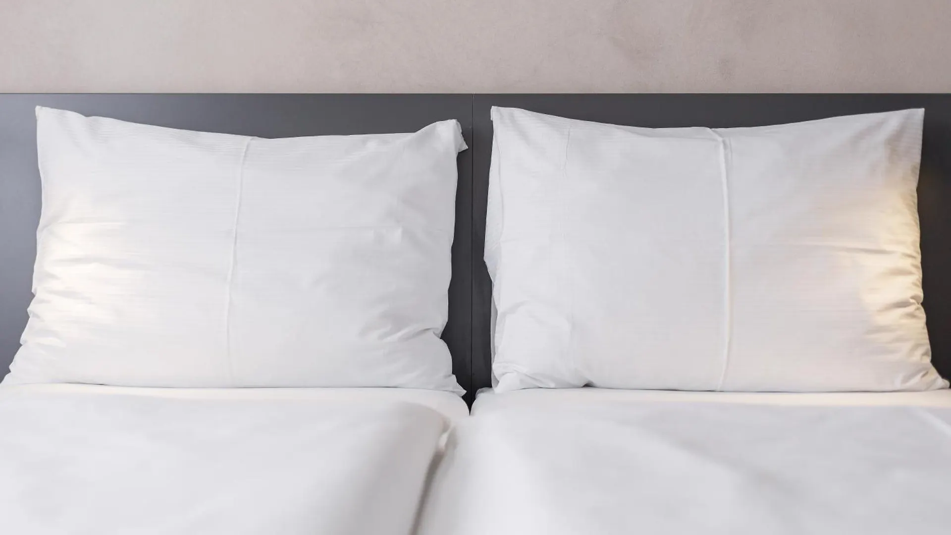 Hotel Vista Brno